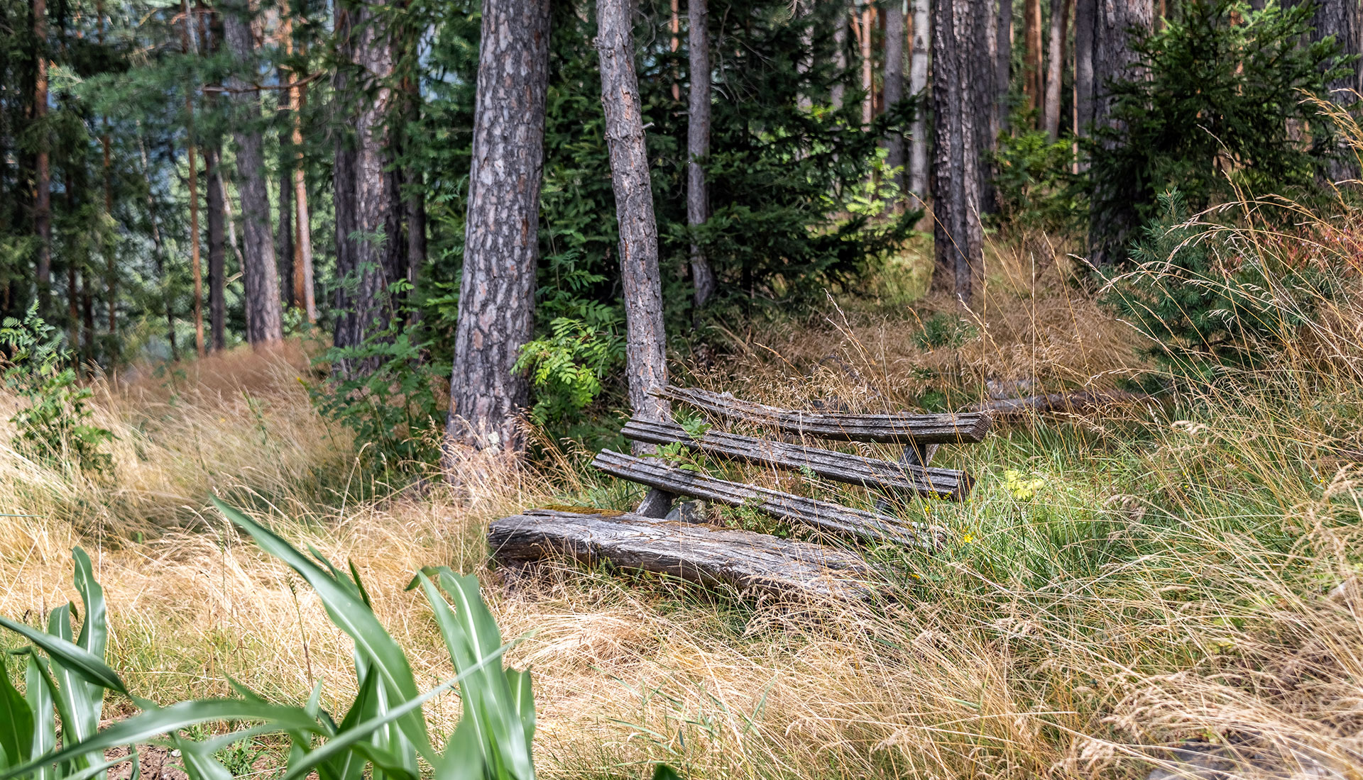 Natururlaub Suedtirol