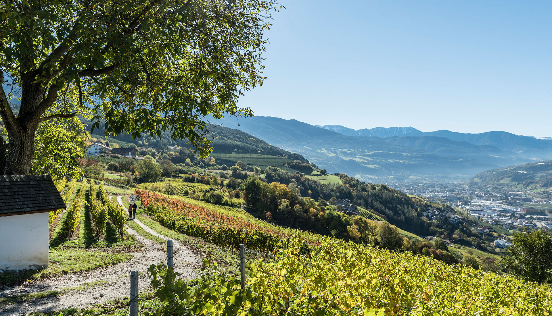 Vacanza escursionistica in Valle Isarco